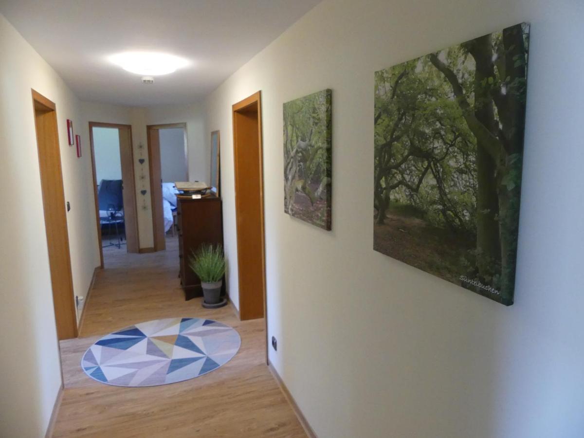 Ferienwohnung Suenteltraum Hamelin Ngoại thất bức ảnh